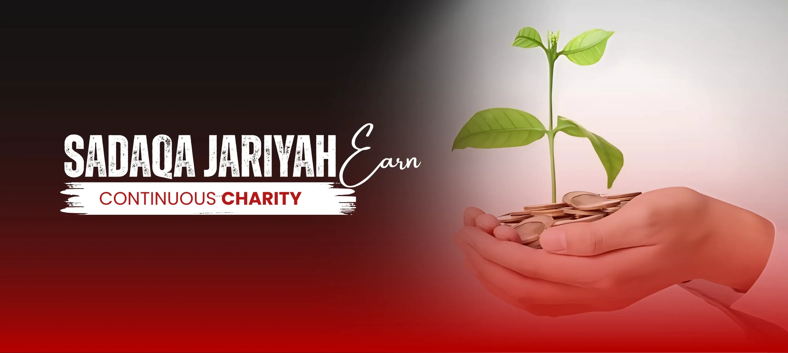 Sadaqah Jariya scaled