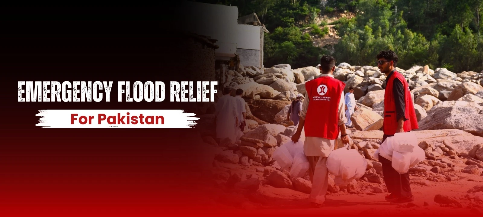 Emergency Flood Relief for Pakistan